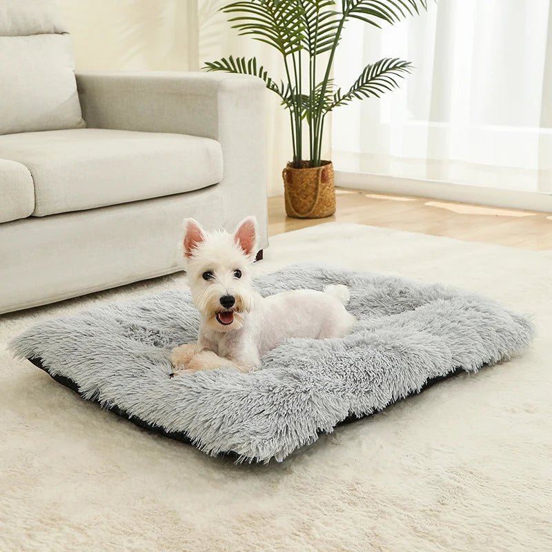 SnuggleNest Soft Cushion Bed for Ultimate Pet Relaxation
