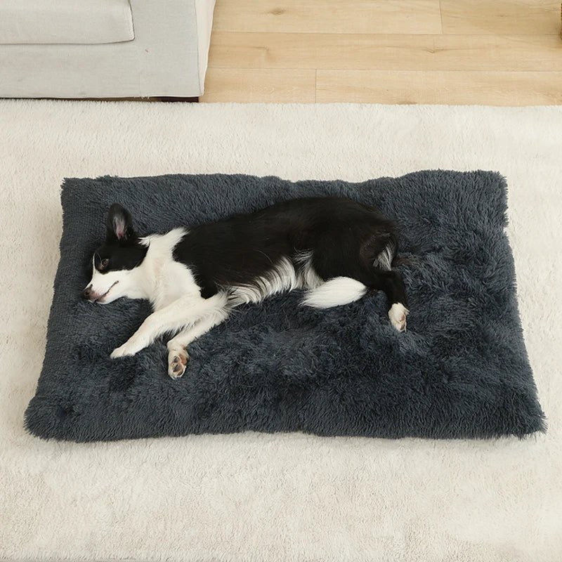 SnuggleNest Soft Cushion Bed for Ultimate Pet Relaxation