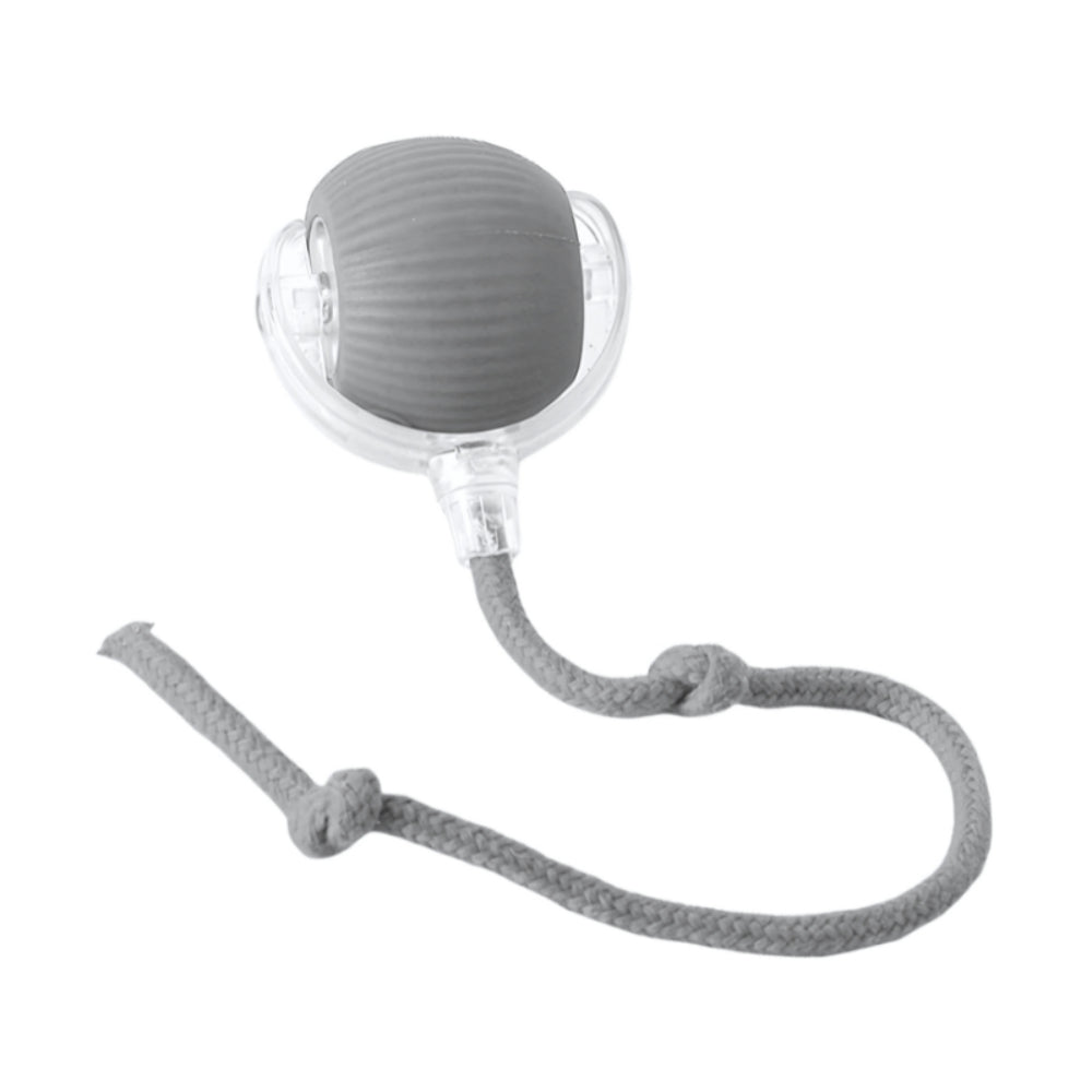 Pounce & Play Interactive Cat Chaser Ball