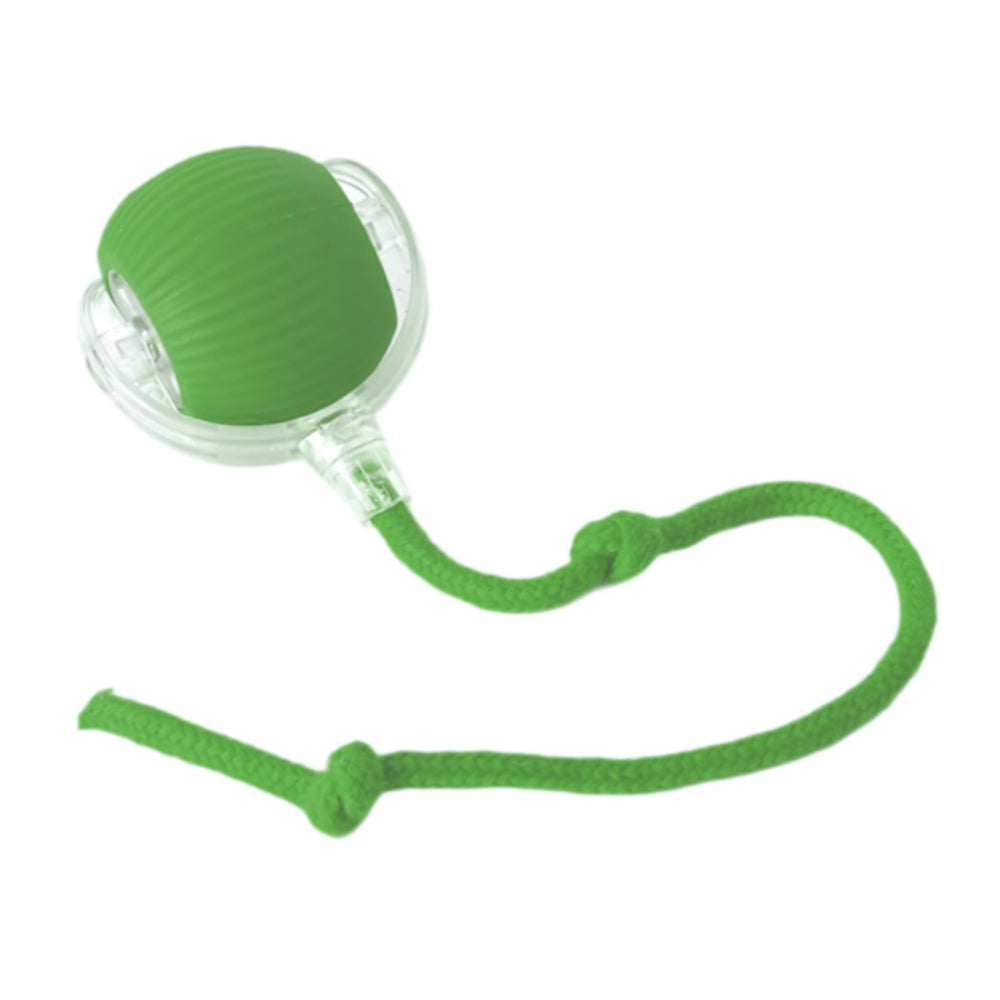 Pounce & Play Interactive Cat Chaser Ball