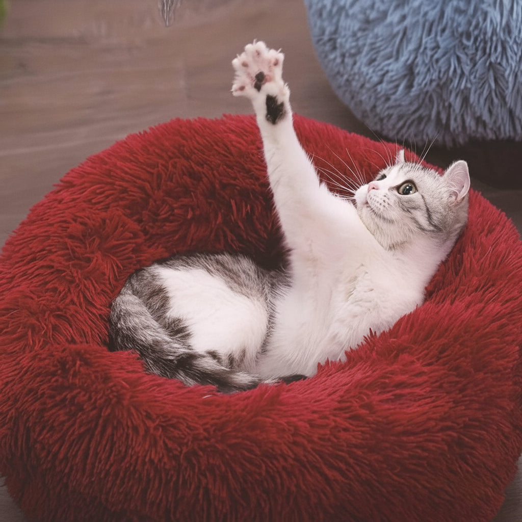 SnuggleSphere Cat Bed: Plush Round Sleeping Haven for Cats