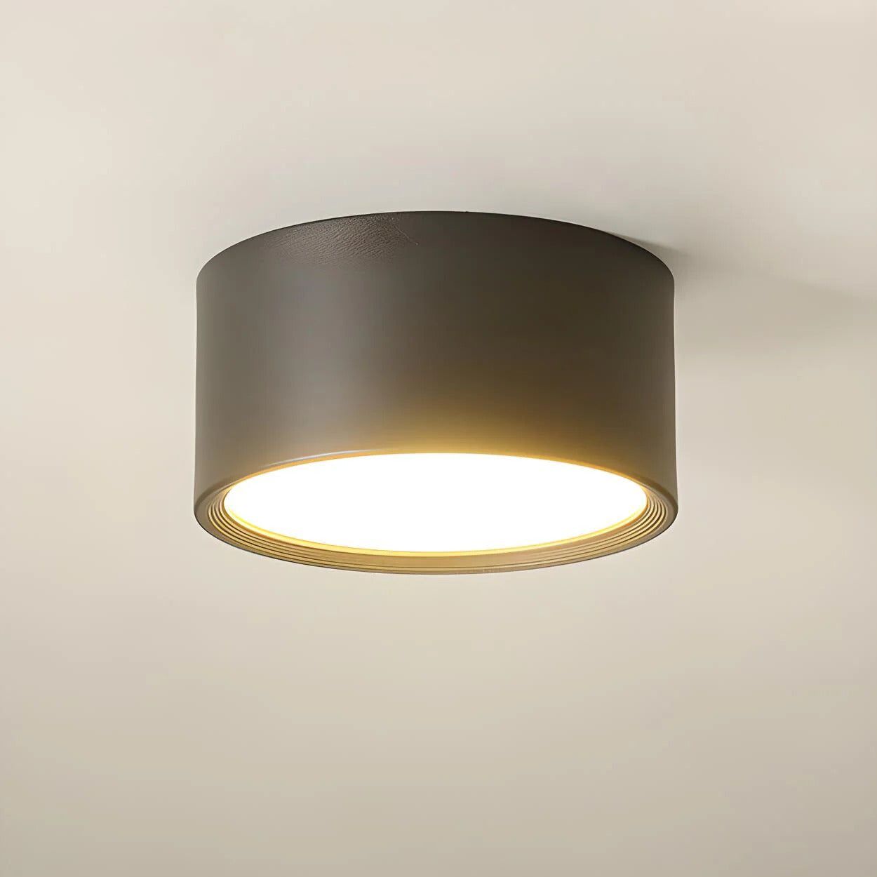 Modern LED Cylinder Ceiling Light with Adjustable Settings