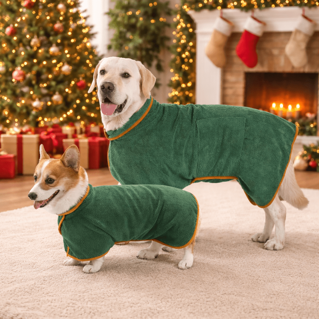 Quick-Dry Dog Coat for Ultimate Comfort After Walks