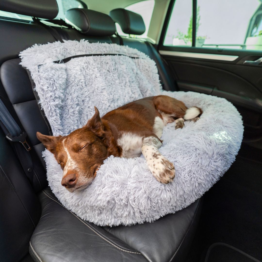 Pet Travel Bed with Memory Foam Cushion – 2-in-1 Comfort Design