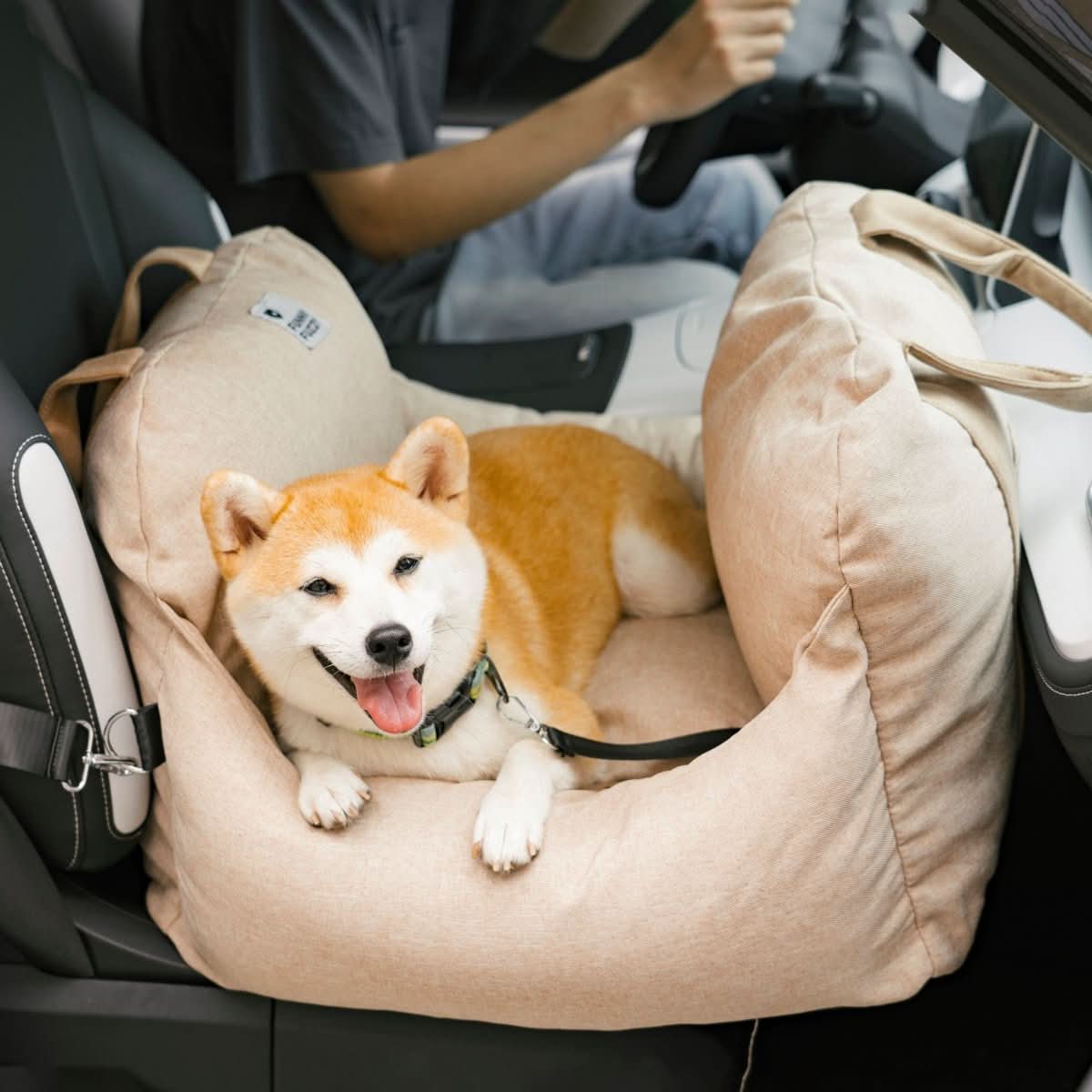 Dog Car Seat Bed with Adjustable Safety Straps & Non-Slip Base for Travel