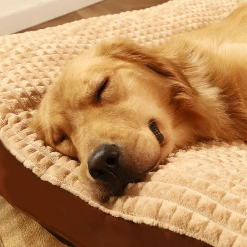 RestfulPaws Orthopedic Dog Bed for Ultimate Comfort