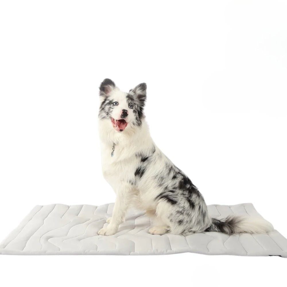 Self-Activating Gel Dog Cooling Mat for Immediate Comfort
