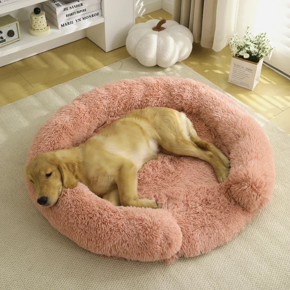 CozyCove Semi-Open Round Pet Bed for Ultimate Comfort