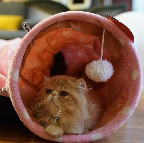 Indoor Cat Play Tunnel with Adorable Dragon Pattern – Cozy Sleeping Area