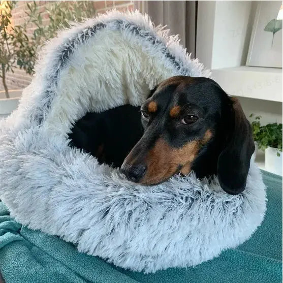Spacious Dog Bed with Non-Slip Bottom | Comfortable Relaxation Zone