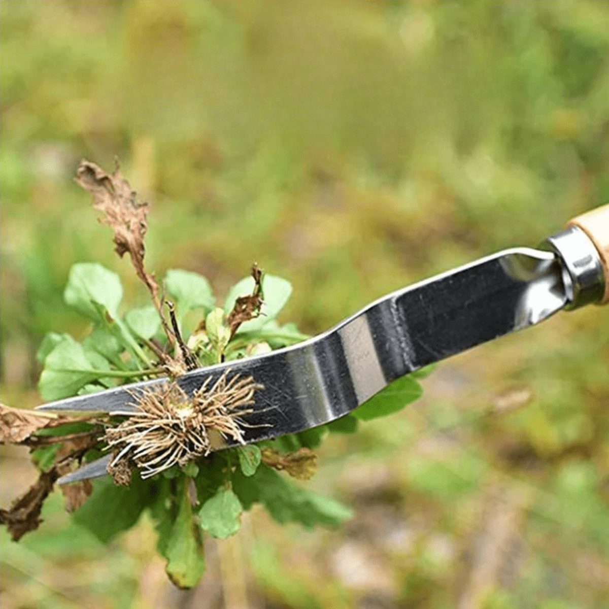 GardenMaster Pro Weed Extractor with Comfort Grip Handle
