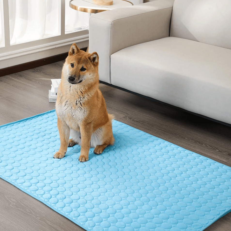 Cooling Mat for Dogs with Pressure-Activated Gel – Comfort for Warm Days