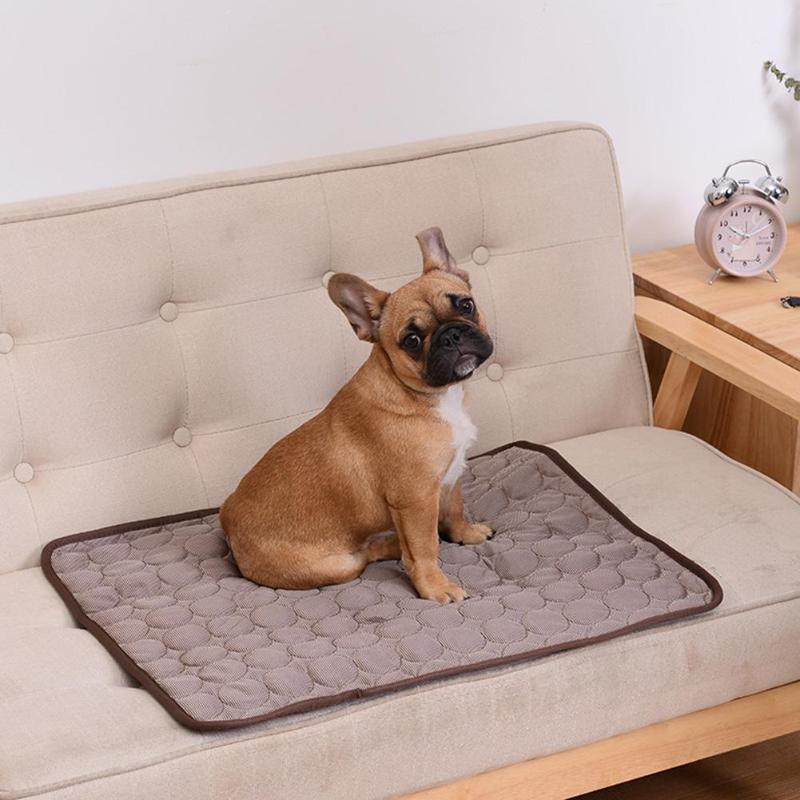 Cooling Mat for Dogs with Pressure-Activated Gel – Comfort for Warm Days