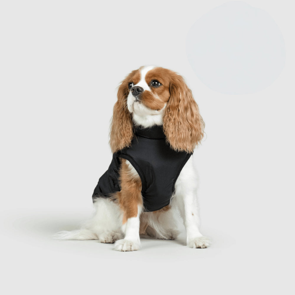 Ultimate Winter Jacket for Dogs: Versatile and Warm