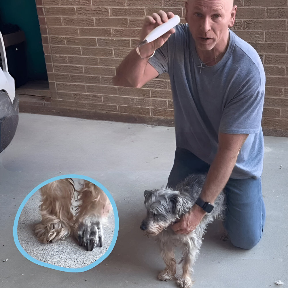 Whisper-Quiet Rechargeable Dog Paw Groomer