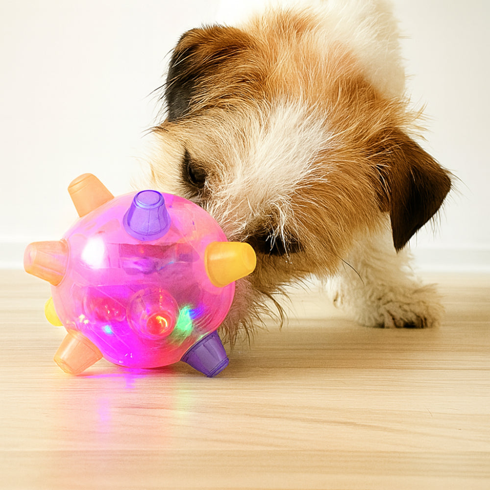 Exciting LED Bouncing Ball for Active Dogs