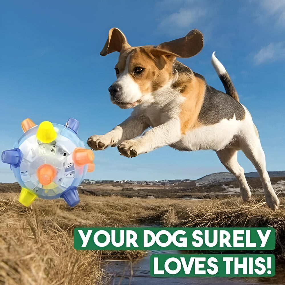 Exciting LED Bouncing Ball for Active Dogs