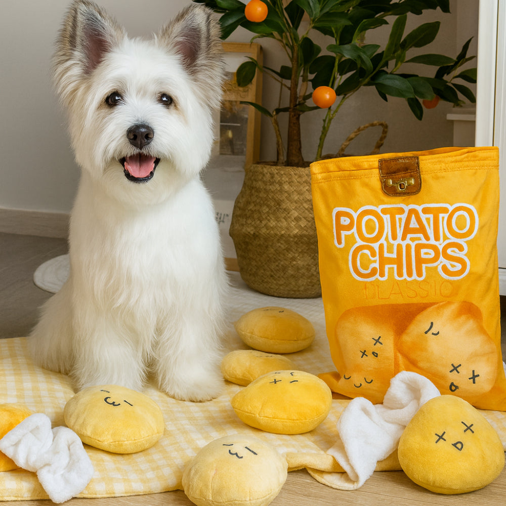 Engaging Foraging Mat for Dogs – Fun Treat Discovery Toy