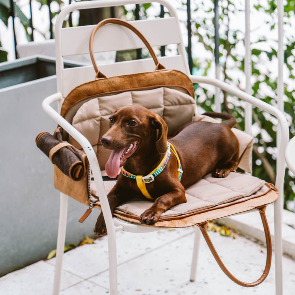 Pet Travel Carrier Bag with Expandable Storage | Safe and Stylish Design