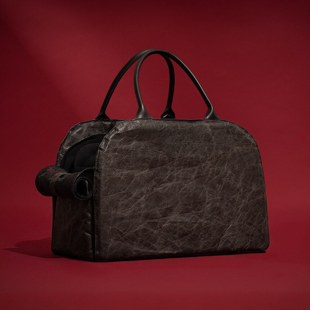Pet Travel Carrier Bag with Expandable Storage | Safe and Stylish Design