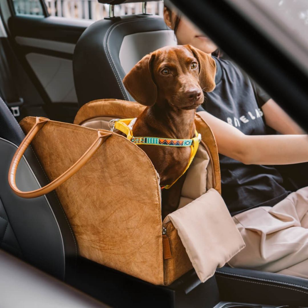 Pet Travel Carrier Bag with Expandable Storage | Safe and Stylish Design