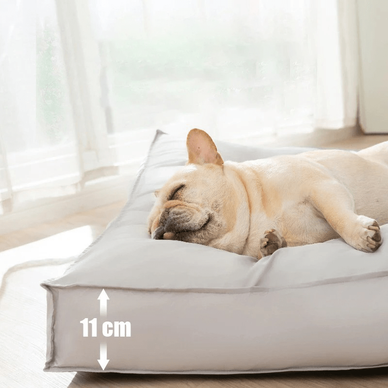 ComfortNest Orthopedic Pet Bed with Washable Foam & Durable Cover
