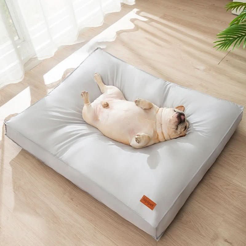ComfortNest Orthopedic Pet Bed with Washable Foam & Durable Cover