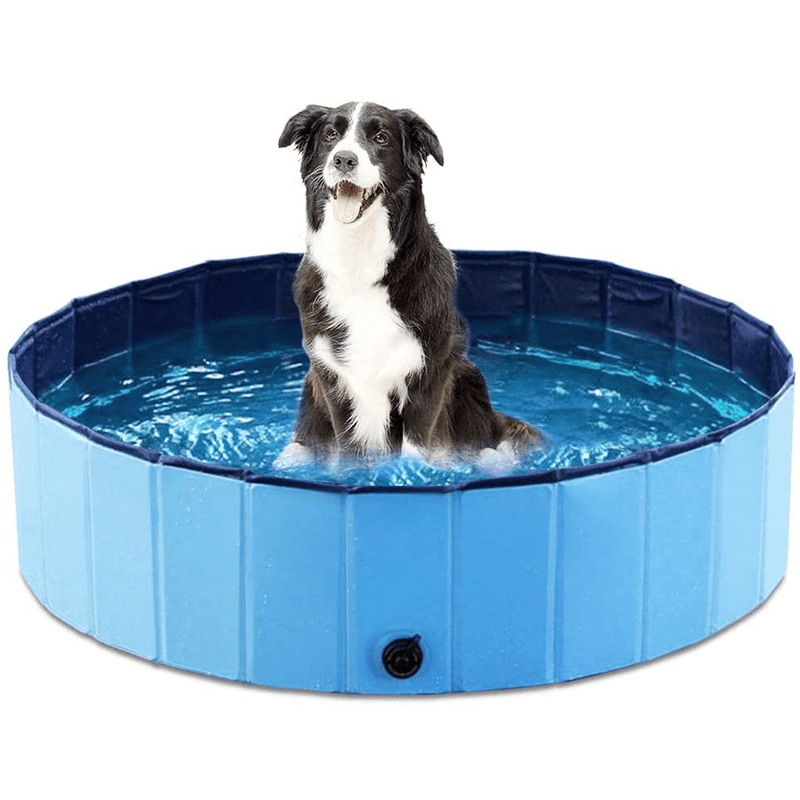 Collapsible Pet Pool | Non-Inflatable PVC Swimming Pool for Dogs