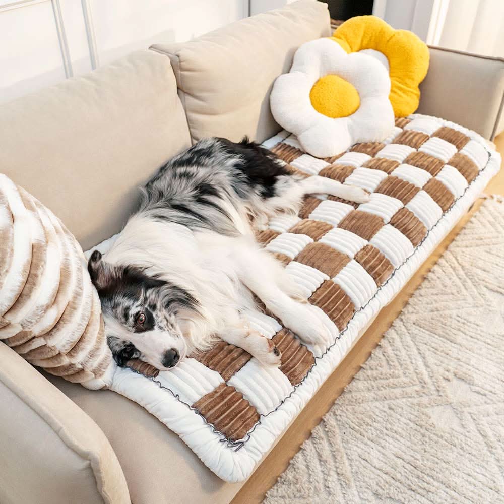 PawSafe Comfort Blanket for Pets with Non-Slip Design
