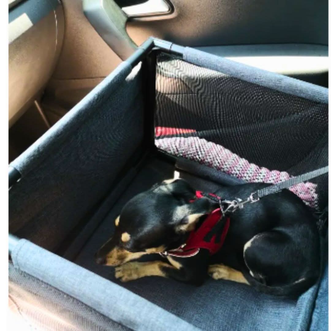 Waterproof Pet Car Seat with Versatile Design for Vehicle Protection