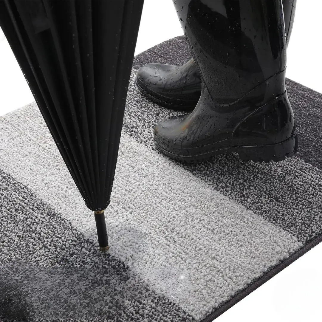 AquaGuard Non-Slip Indoor Mat for Clean, Safe Spaces