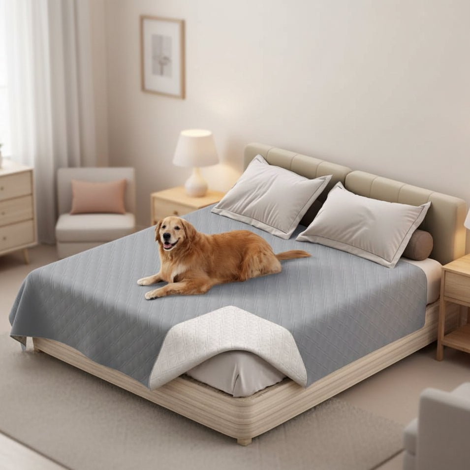 FurShield Elite Waterproof Blanket for Ultimate Furniture Care
