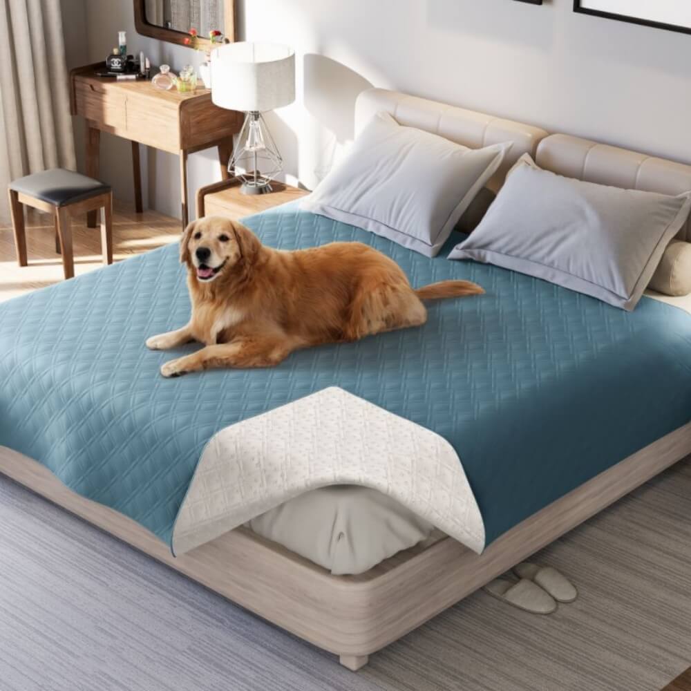 FurShield Elite Waterproof Blanket for Ultimate Furniture Care