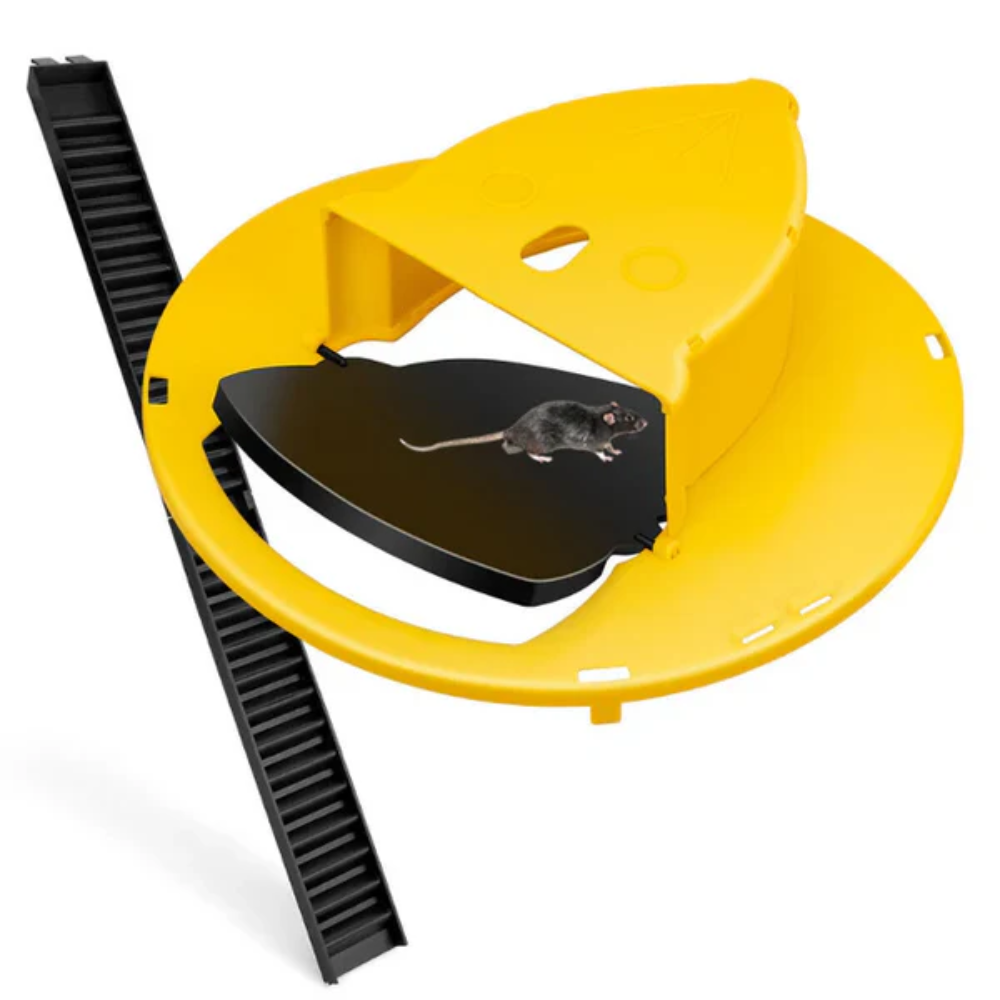Eco-Friendly Bucket Mousetrap for Safe Catch and Release of Rodents