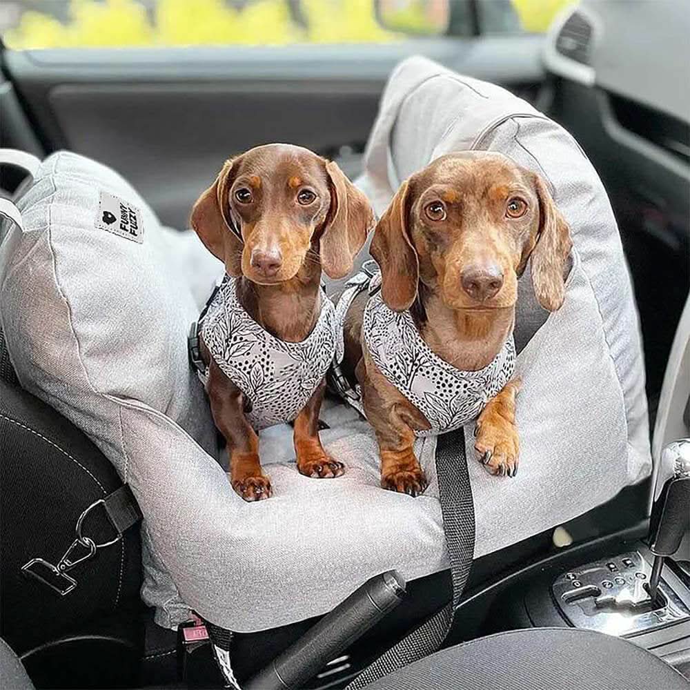 PetSafe Travel Cushion: Secure Bed with Safety Belt & Grip Base