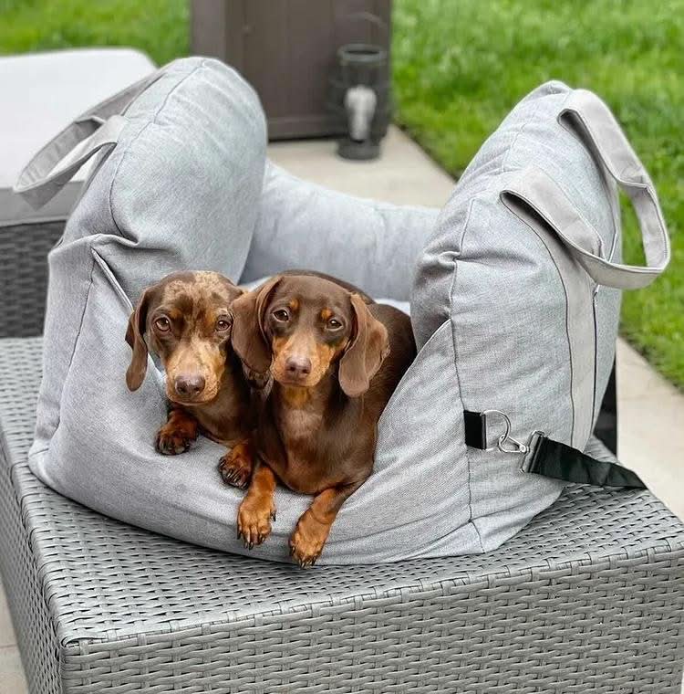 PetSafe Travel Cushion: Secure Bed with Safety Belt & Grip Base