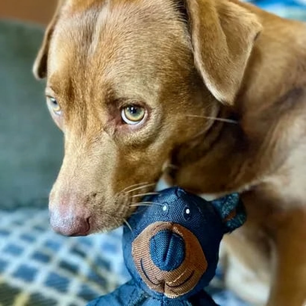 Long-Lasting Plush Bear Chew Toy for Endless Dog Fun
