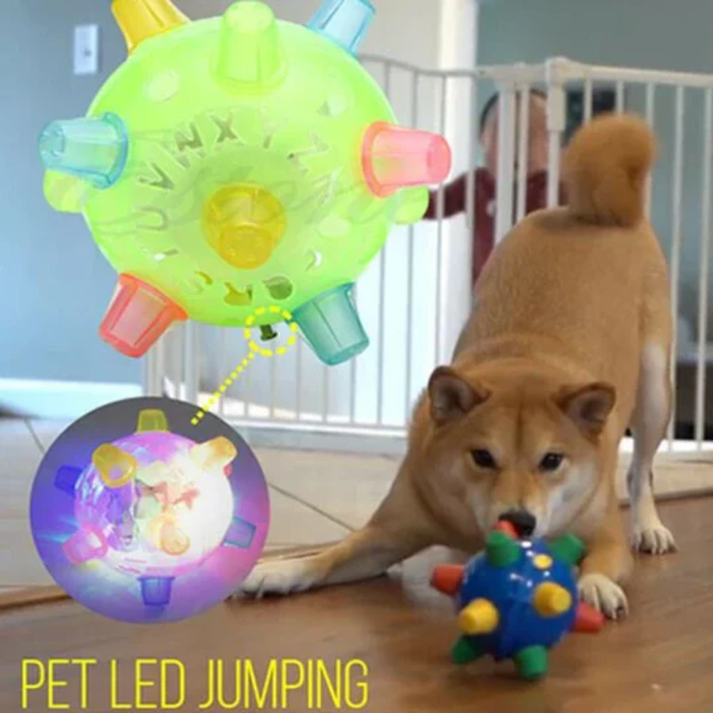 Automatic Moving Jumping Ball Toy for Dogs