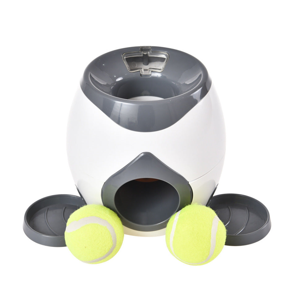 Durable Slow Feeding Dog Bowl | Engaging Interactive Pet Feeder