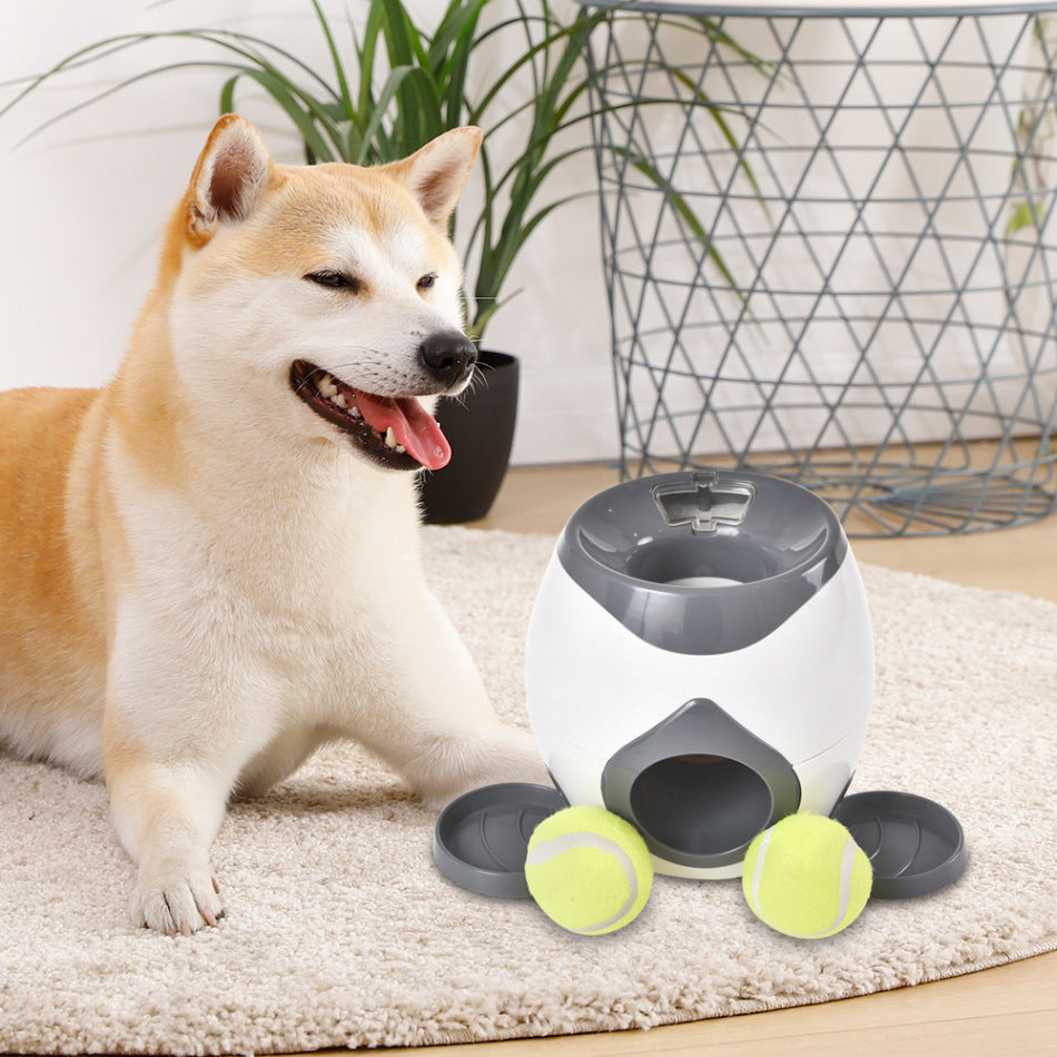 Durable Slow Feeding Dog Bowl | Engaging Interactive Pet Feeder