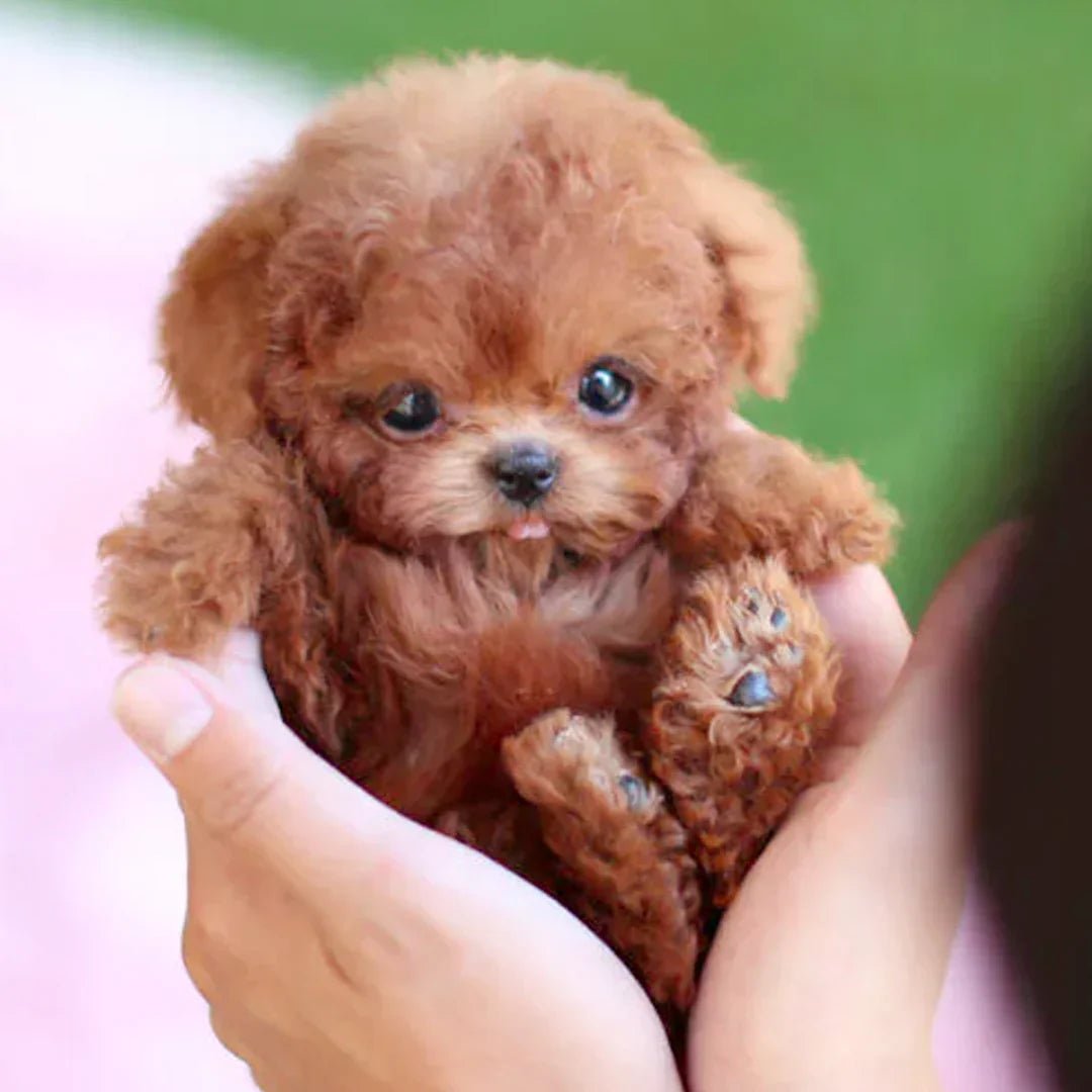 Lifelike Motion Plush Puppy Toy – Interactive Touch Response Companion
