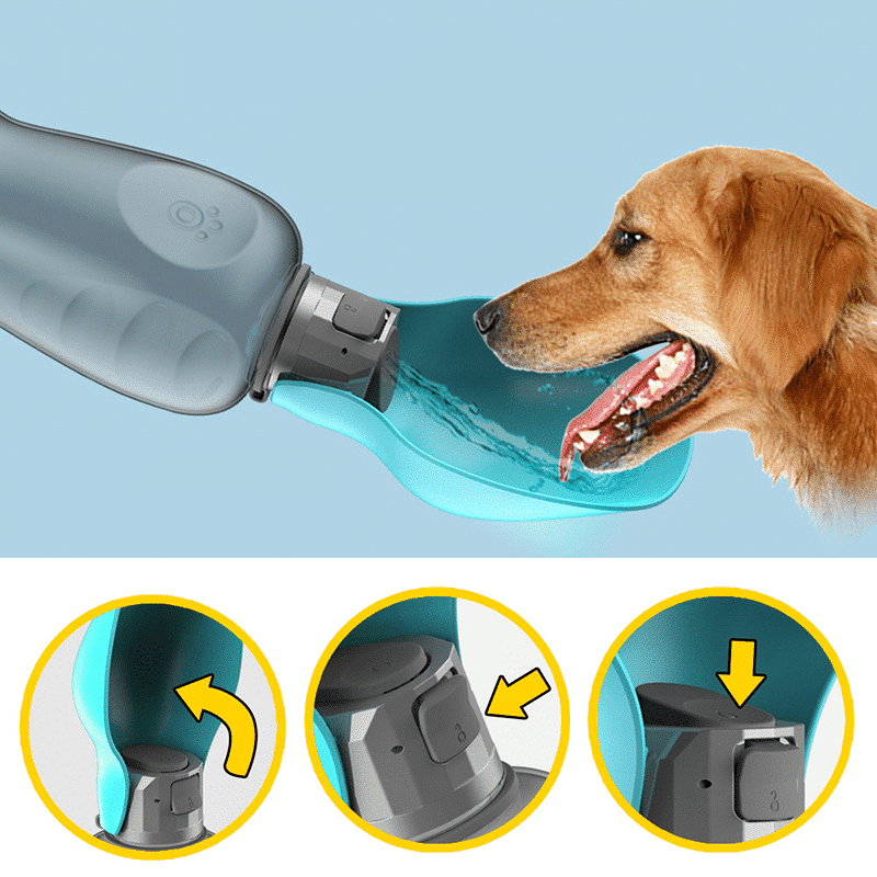 Large Capacity 27.05oz Dog Travel Water Bottle with Collapsible Bowl