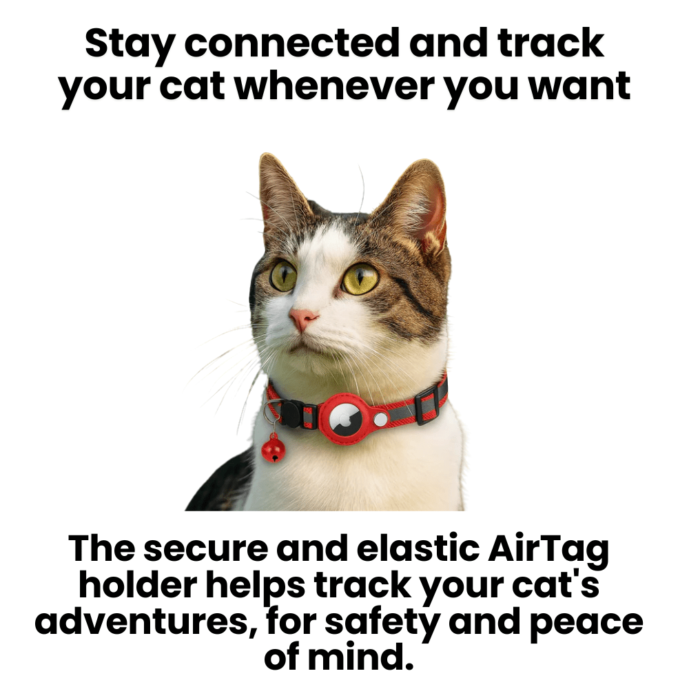 PawSafe GPS Tracker Collar for Cats with Reflective Features