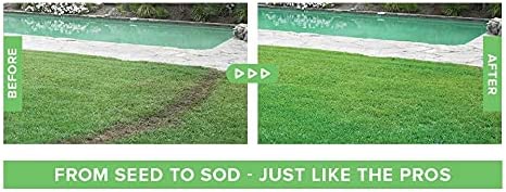 Liquid Grass Seed Spray with Nutrients for Easy Lawn Care Application