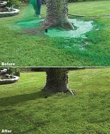 Liquid Grass Seed Spray with Nutrients for Easy Lawn Care Application