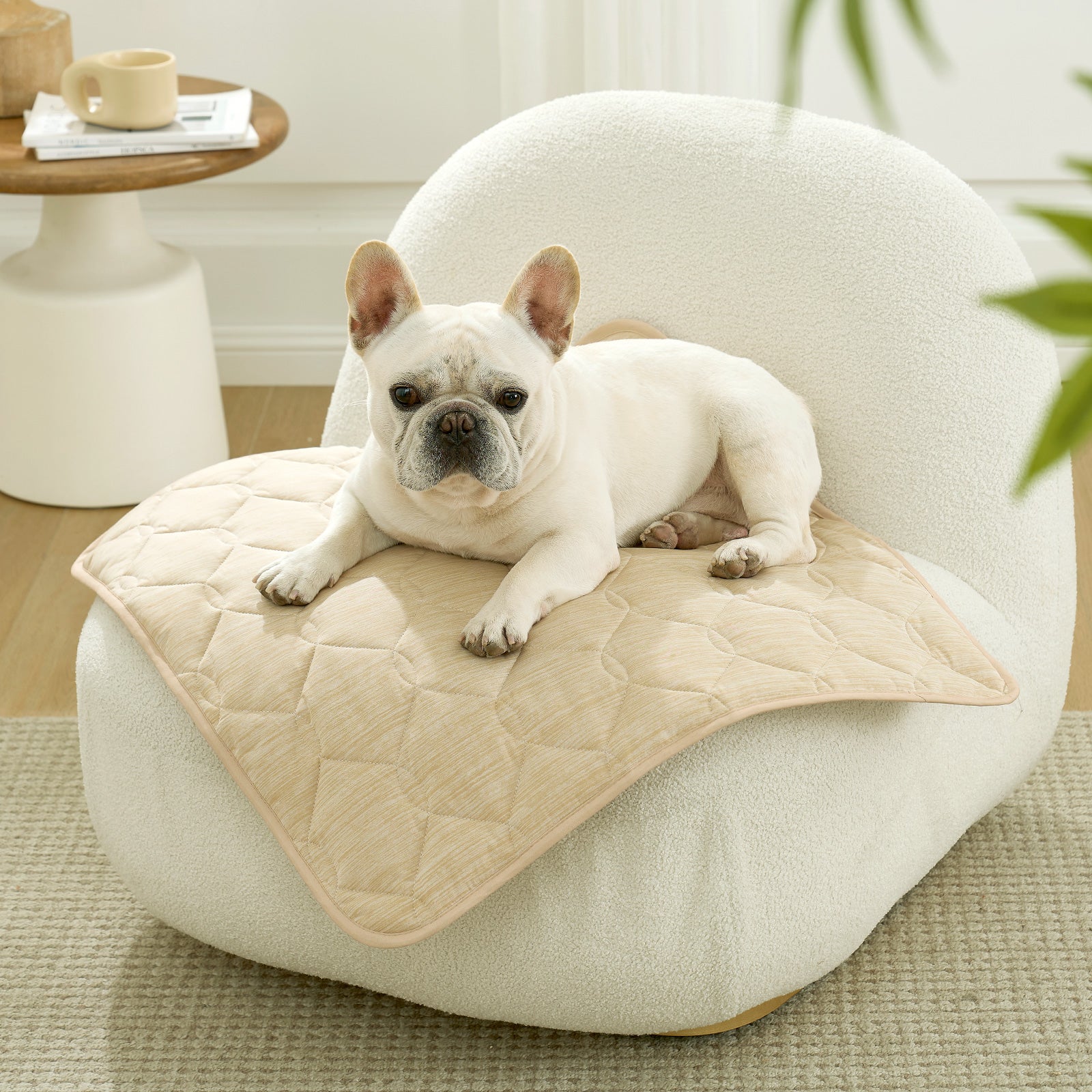 Waterproof Sofa Protector with Qmax Cooling Technology – Leakproof Pet Cover