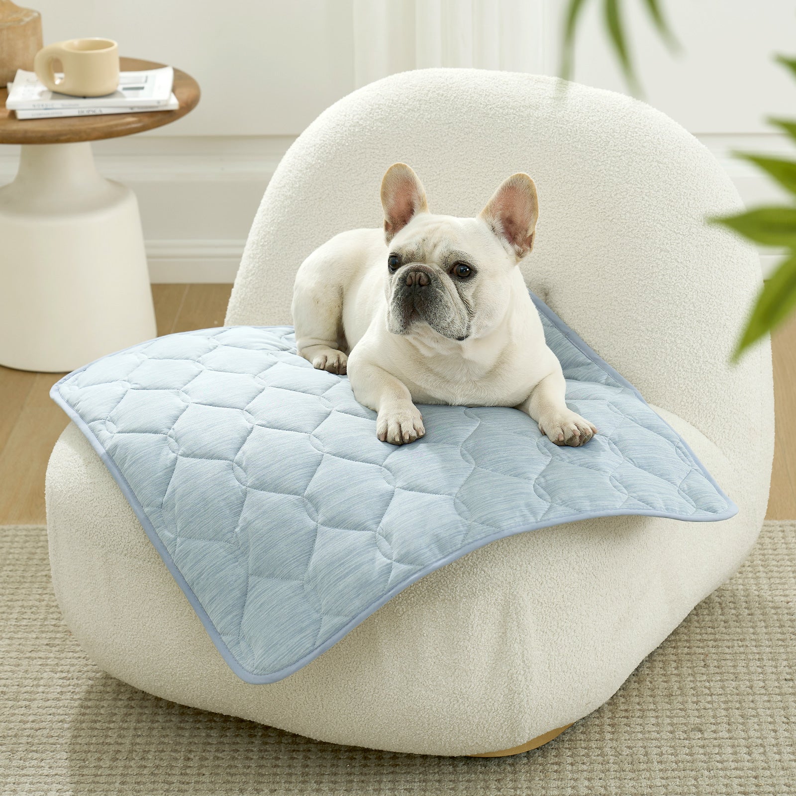Waterproof Sofa Protector with Qmax Cooling Technology – Leakproof Pet Cover