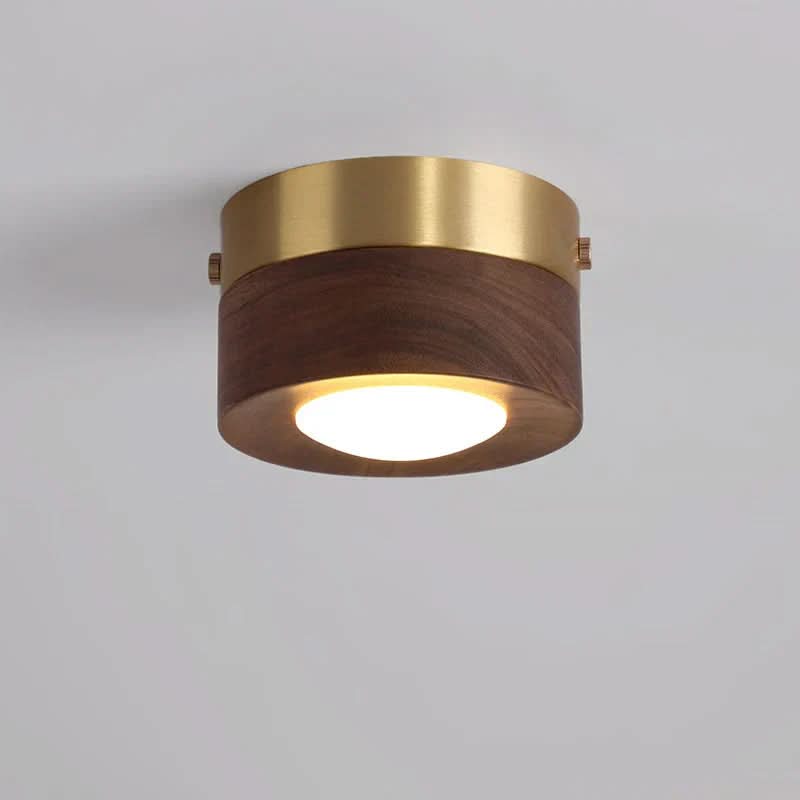 Natural Elegance LED Ceiling Fixture for Energy-Efficient Lighting