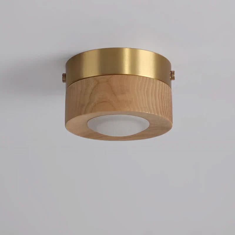 Natural Elegance LED Ceiling Fixture for Energy-Efficient Lighting