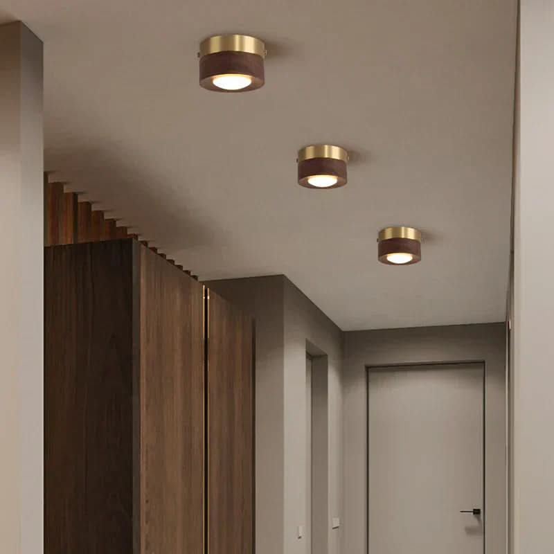 Natural Elegance LED Ceiling Fixture for Energy-Efficient Lighting